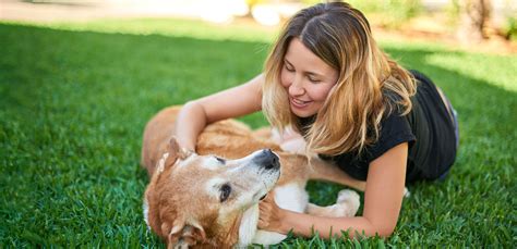 edenhills and lawnswood pet cremations.